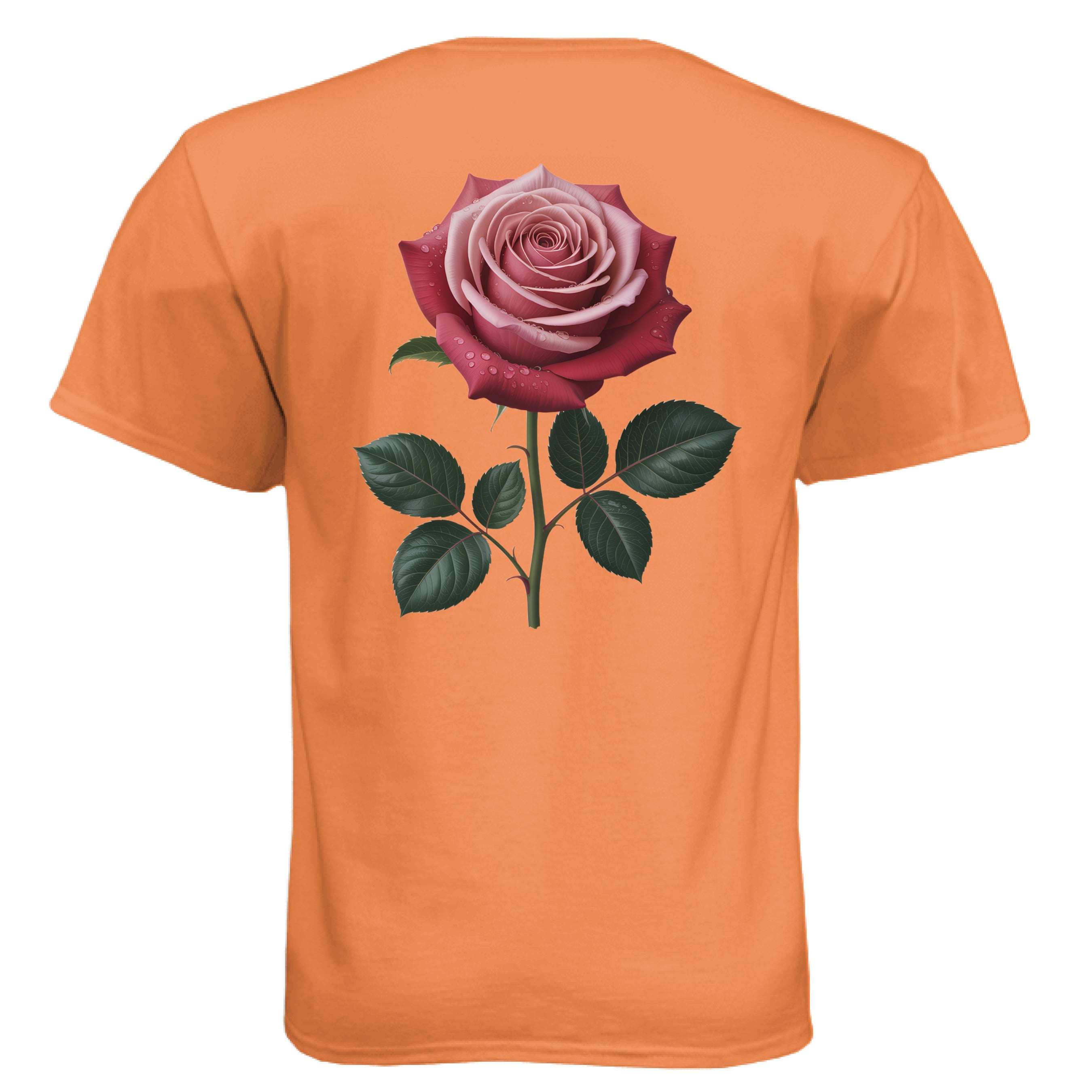 Orange - BACK